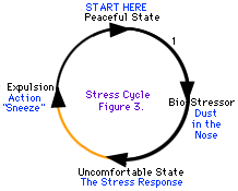 Egyes stresszciklusok könnyebben mozognak, mint mások.