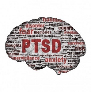 A trauma a PTSD-ben szenvedő emberekben eltérően érinti az agyat. De ne aggódjon, a helyreállítás megtörténik. Tudja meg, hogyan működik a PTSD-ben szenvedő agya traumával szemben. 