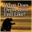 Hogyan érzi magát a depresszió?