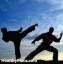 Mentális betegség és harcművészetek: Érdekes terápia