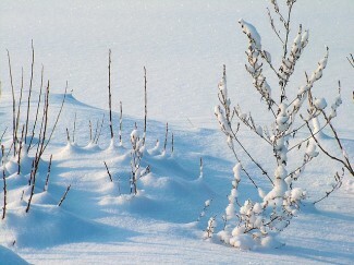 A tél súlyosbíthatja a depressziót, de olvassa el ezeket a tippeket a depresszió elleni téli túlélésről, hogy visszaszorítsuk.