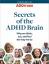 Ingyenes szakértői forrás: ADHD agya rejtélyeinek feltárása
